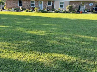 Amanda R.'s residential landscaping service result