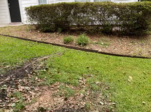 Edward P.'s Bush Trimming service result