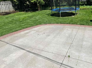 Delwyn B.'s turf care service result