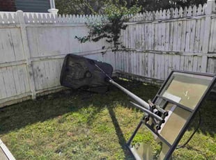 Eileen W.'s lawn care service result