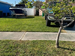 Larry K.'s lawn care service result