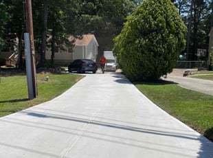 David M.'s Tree Care service result