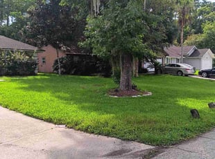 Diyana B.'s lawn maintenance service result