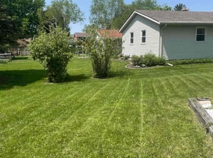 Jaime S.'s lawn maintenance service result