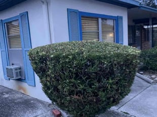 Ifeatu O.'s Bush Trimming service result