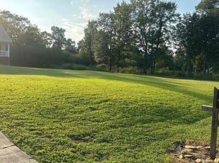 Cynthia S.'s grass maintenance service result