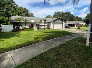 Ravi S.'s lawn service service result