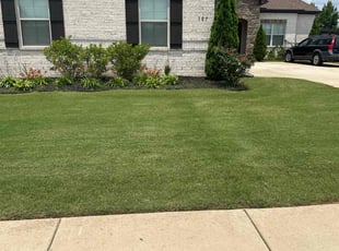 Angela F.'s lawn maintenance service result