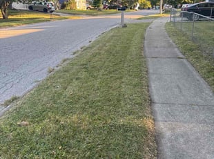 Pang Y.'s lawn care service result