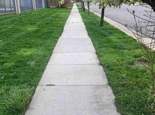 Lisa B.'s lawn care service result