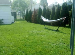 Carl C.'s lawn care service result