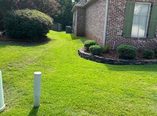 Jen D.'s turf maintenance service result