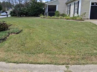 Kelly G.'s turf maintenance service result
