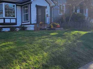 Beverley W.'s Leaf Removal service result