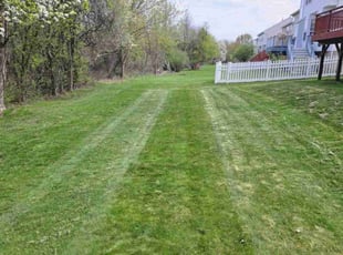 Amanda S.'s lawn care service result