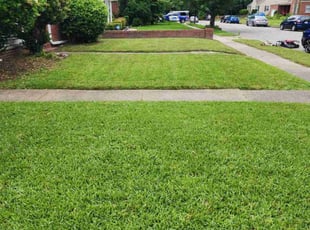 Rhonda L.'s turf care service result