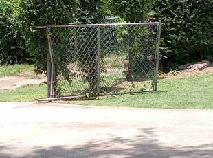 Russell H.'s Bush Trimming service result