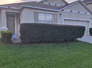 Marcia S.'s Bush Trimming service result