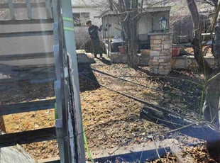 Paula P.'s Leaf Removal service result