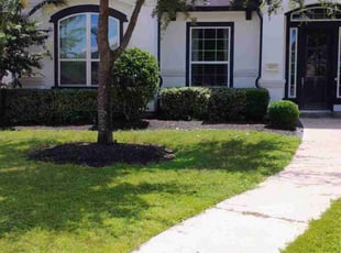 Joe L.'s Bush Trimming service result