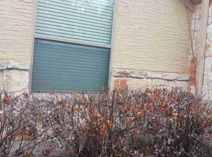 Glenn B.'s Bush Trimming service result