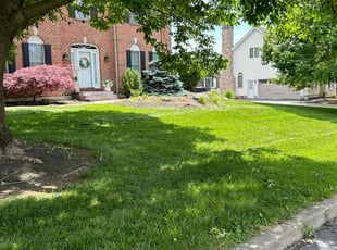 Gerard G.'s grass cutting service result