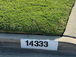 Diane G.'s grass cutting service result