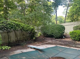 Leslie A.'s Bush Trimming service result