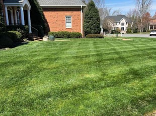 Tony C.'s turf maintenance service result