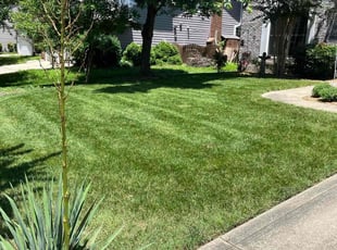 Jennifer F.'s grass cutting service result