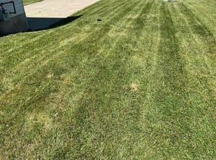Dorothy B.'s grass cutting service result