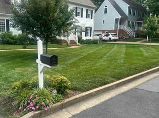 Khaliyah B.'s lawn care services service result