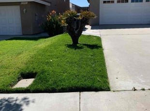 David F.'s lawn care services service result