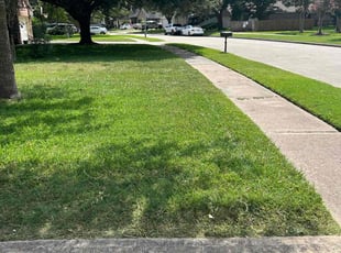 Margaret I.'s lawn care service result