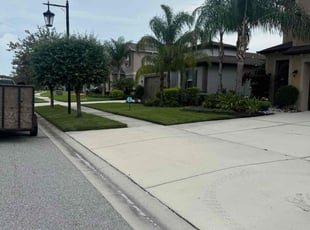 Sang R.'s lawn maintenance service result
