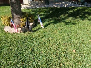 Lettie C.'s landscape maintenance service result