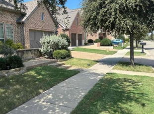 Jane K.'s turf maintenance service result