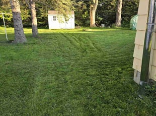 Willie W.'s turf maintenance service result