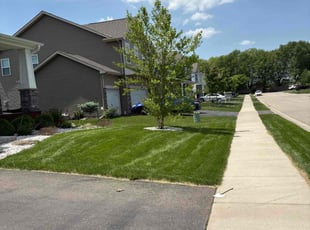 Mary G.'s lawn maintenance service result