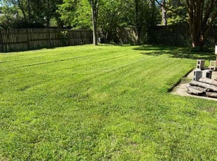 Kinzie D.'s grass cutting service result