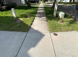 Shirley M.'s turf care service result