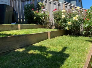 Amit T.'s lawn care service result