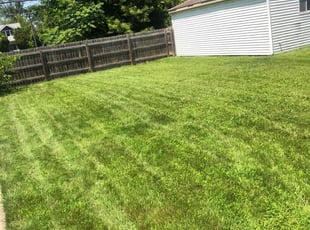 Sherry H.'s grass maintenance service result