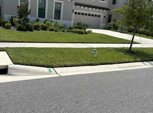 Samia B.'s lawn care service result