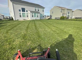 Brian T.'s turf care service result