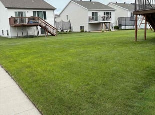Pamela G.'s lawn maintenance service result