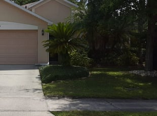 Beryl R.'s Bush Trimming service result