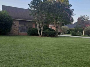 Joe S.'s lawn maintenance service result