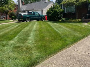 Kourtney W.'s grass maintenance service result