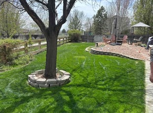Diana D.'s grass maintenance service result